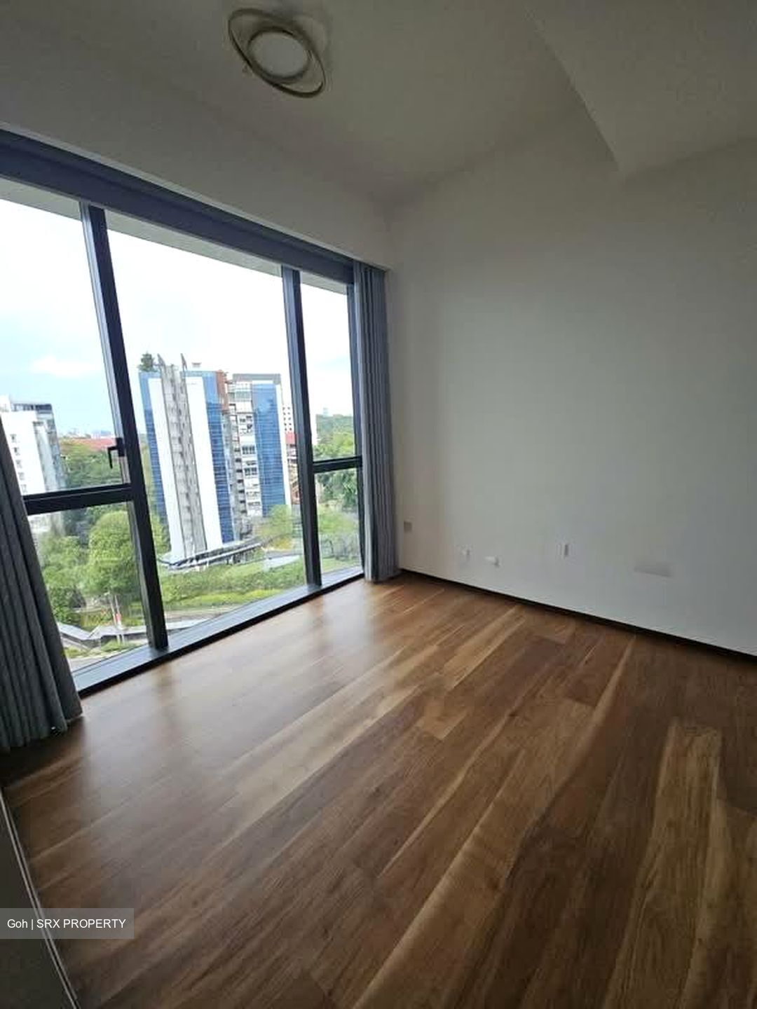 Leedon Green (D10), Condominium #587240131